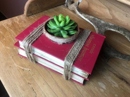 Handgemaakte oude boeken met plant, Huis en Inrichting, Woonaccessoires | Overige, Nieuw, Ophalen of Verzenden