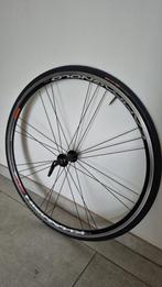 Chique Voor wiel Campagnolo Racefiets met nieuw banden, Fietsen en Brommers, Fietsonderdelen, Campagnolo, Racefiets, Zo goed als nieuw