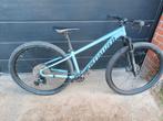Mtb specialized 29, Fietsen en Brommers, Ophalen, Gebruikt