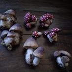 Oude watten paddenstoelen, Antiek en Kunst, Curiosa en Brocante, Verzenden