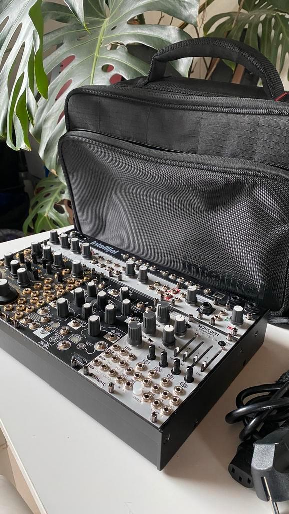 Eurorack modular synthesizer (koffer, tas, modules), Muziek en Instrumenten, Synthesizers, Zo goed als nieuw, Overige aantallen