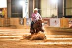Quarter hengst 11 jaar, Dieren en Toebehoren, Paarden, Hengst
