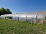 Tunnelserres, Tuin en Terras, Kassen, Ophalen, Gebruikt, Folie, Kweekkas