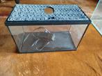 Klein aquarium
