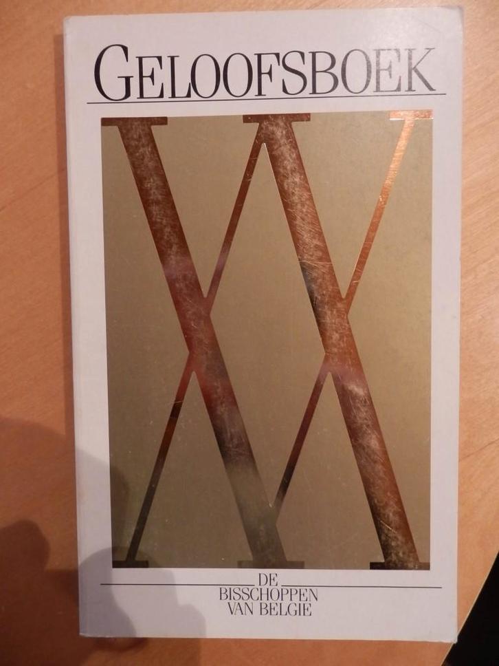 Geloofsboek, Boeken, Godsdienst en Theologie, Gelezen, Ophalen of Verzenden