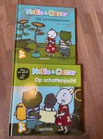 Isabelle Neyret - De zonnebloemen, Boeken, Ophalen, Zo goed als nieuw, Isabelle Neyret