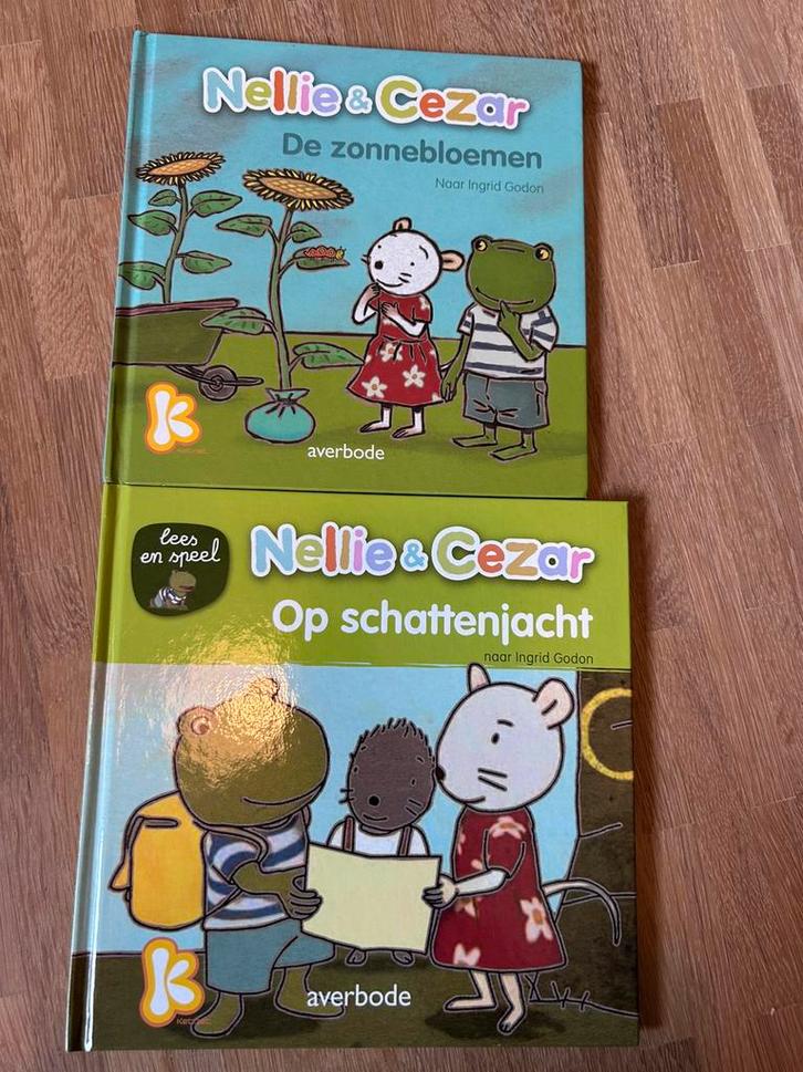 Isabelle Neyret - De zonnebloemen, Boeken, Kinderboeken | Jeugd | onder 10 jaar, Zo goed als nieuw, Ophalen