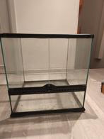 Terrarium exo terra, Animaux & Accessoires, Reptiles & Amphibiens | Accessoires, Enlèvement, Comme neuf