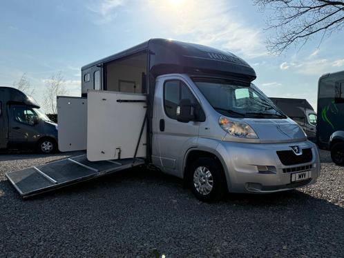 ZEER MOOIE PEUGEOT BOXER EQUI-TREK SONIC 2013 PAARDENWAGEN, Dieren en Toebehoren, Paarden en Pony's | Trailers en Aanhangwagens
