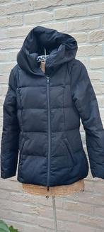 Jas maat 38 hallhuber, Kleding | Dames, Jassen | Winter, Maat 38/40 (M), Zwart, Ophalen of Verzenden, Zo goed als nieuw