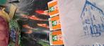 Zwitsers wegen vignette, Tickets en Kaartjes