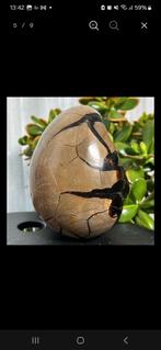 Septaria, Collections, Minéraux & Fossiles, Enlèvement ou Envoi