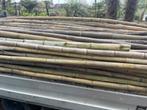 Dikke bamboepalen 2.5m tot 4.5m lengte, Tuin en Terras, Palen, Balken en Planken, Nieuw, 250 cm of meer, Palen, Ophalen