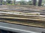 Dikke bamboepalen 2.5m tot 4.5m lengte, 250 cm ou plus, Enlèvement, Neuf, Poteaux