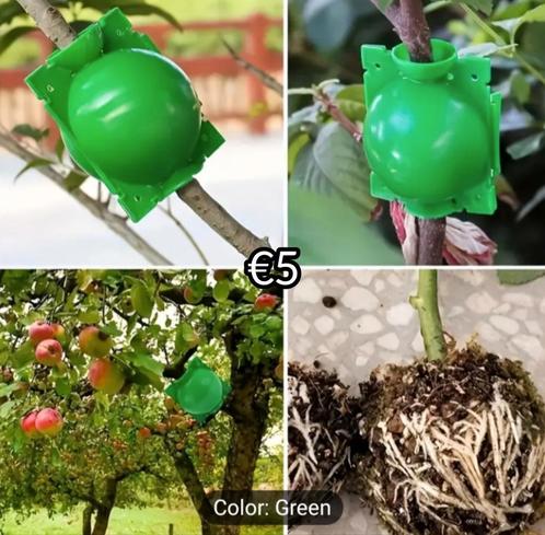 10pcs Plant Rooting Grow Boxes, Tuin en Terras, Hand-tuingereedschap, Nieuw, Ophalen of Verzenden