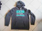 Hoodie Hollister maat M, Ophalen of Verzenden, Zo goed als nieuw, Hollister, Maat 48/50 (M)