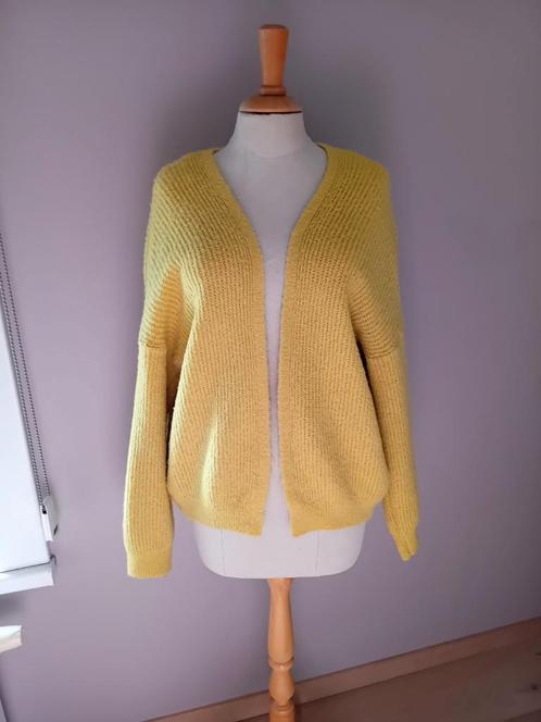 Gilet in alpaca wol, Kleding | Dames, Truien en Vesten, Ophalen of Verzenden