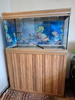 Aquarium aquatlantis 228l, Dieren en Toebehoren, Ophalen, Zo goed als nieuw