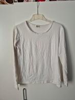 T shirt maat 40 gedragen staat maar nog goed, Kleding | Dames, Topjes, Ophalen of Verzenden, Gedragen, Maat 38/40 (M)