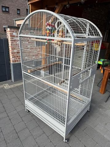 Grote montana papegaaienkooi nieuwstaat ! beschikbaar voor biedingen