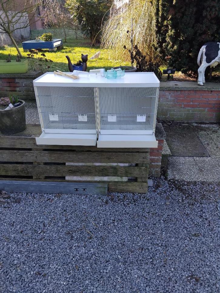 Cage d élevage pour bec droit, Animaux & Accessoires, Oiseaux | Cages & Volières, Comme neuf, Cage d'élevage, Synthétique, Enlèvement