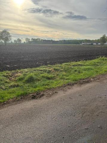 Landbouwgrond beschikbaar voor biedingen