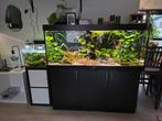 Juwel aquarium te koop, Dieren en Toebehoren, Vissen | Aquaria en Toebehoren, Ophalen, Zo goed als nieuw
