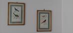 2 Etsen in kleur van vogels, Antiek en Kunst, Kunst | Etsen en Gravures, Ophalen