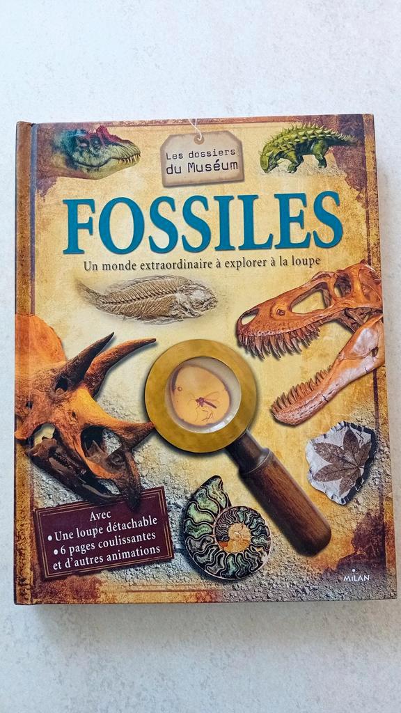 Boek „Fossielen”. Nieuwstaat, Boeken, Studieboeken en Cursussen, Nieuw, Ophalen of Verzenden