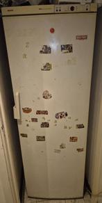 Congélateur Bosch fonctionnel mais abîmé, Electroménager, Congélateurs, Congélateur, 160 cm ou plus, Enlèvement, Utilisé