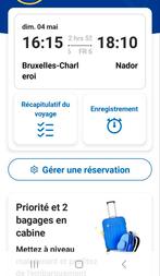 Je vends deux tickets avion au Maroc le 4 mai, Tickets en Kaartjes