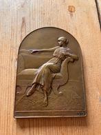 Médaille Devreese, Enlèvement