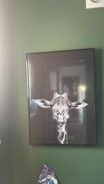 Foto Canvas Giraf, Huis en Inrichting, Ophalen, Gebruikt, 50 tot 75 cm, Foto of Poster