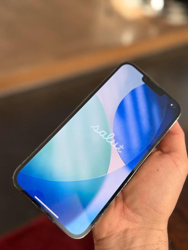 Iphone 13 Pro Max 128 Go + coque Rhinoshield, Telecommunicatie, Mobiele telefoons | Hoesjes en Screenprotectors | Apple iPhone