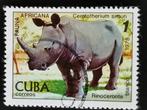 Cuba 1978 - faune - rhinocéros, Animal et Nature, Affranchi, Enlèvement ou Envoi