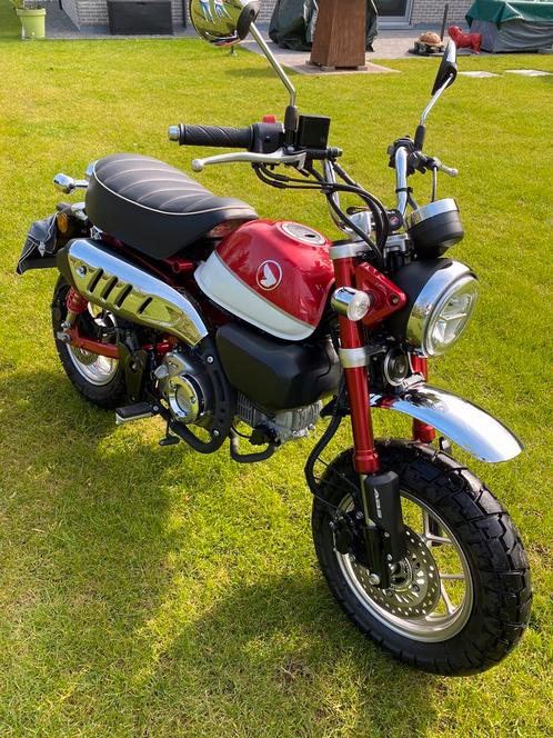 Honda Monkey 2020 125cc, Vélos & Vélomoteurs, Cyclomoteurs | Honda, Comme neuf, Enlèvement