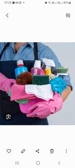 Femme menage, Offres d'emploi