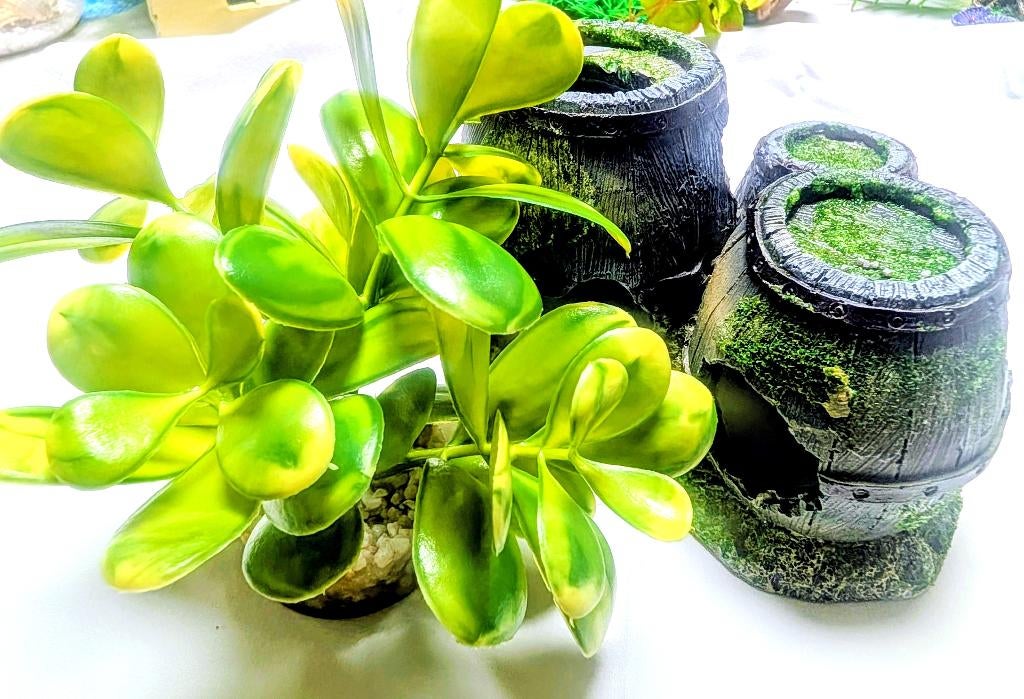 accessoires aquarium, Enlèvement, Utilisé