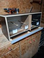 Nieuw vogelkooi, Animaux & Accessoires, Oiseaux | Cages & Volières, Enlèvement, Neuf, Bois, Cage d'élevage