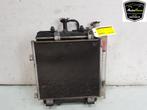 RADIATEUR COMPLEET (|1253G9|163600Q021A|1611826080|163600Q02, Auto-onderdelen, Gebruikt, Peugeot