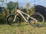 Fiets, Fietsen en Brommers, Fietsen | Heren | Herenfietsen, Ophalen