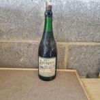 Bouteille de bière Darbyste (modèle 1), Enlèvement, Utilisé, Bouteille(s), Autres marques