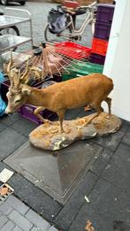 Opgezette Ree, Ophalen, Zo goed als nieuw