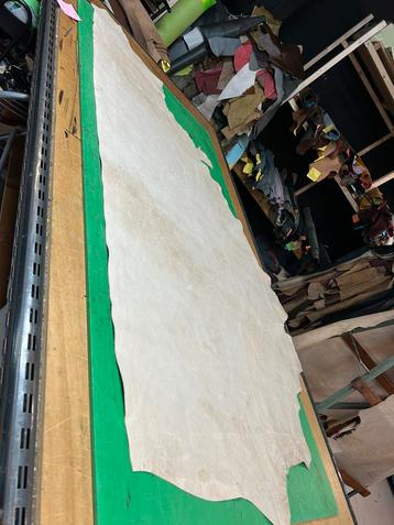 Naturel kleur halve huid 1.5 mm dikte soepel en glad A-509 beschikbaar voor biedingen