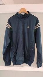 Nouveau Training Adidas, Neuf, Taille 52/54 (L), Autres types, Vert