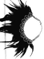 Collier met pluimen, Ophalen, Zo goed als nieuw
