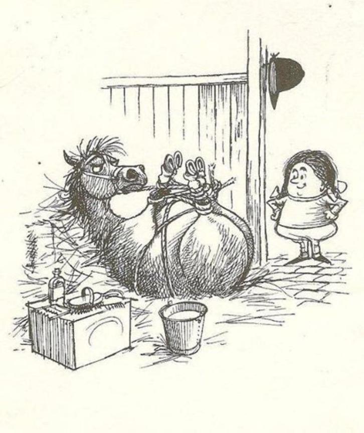 TONTE ET TOILETTAGE DE CHEVAUX ET PONEYS, Dieren en Toebehoren, Paardrijkleding, Nieuw, Ophalen