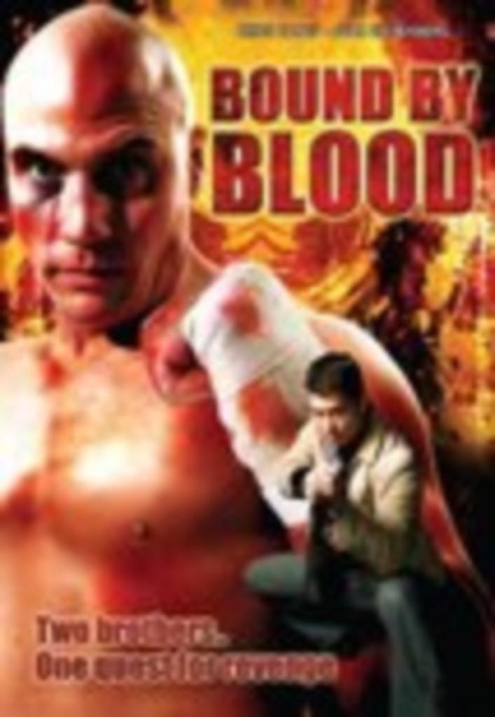Lié par le sang, CD & DVD, DVD | Action, Comme neuf, À partir de 16 ans, Enlèvement ou Envoi