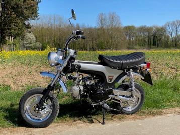 Skyteam Dax ST125, Particulier, Autre, 1 cylindre, 125 cm³