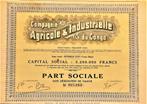 Compagnie Agricole et Industrielle du Congo - Kitomesa Lufu, Postzegels en Munten, Aandelen en Waardepapieren, Verzenden, 1920 tot 1950